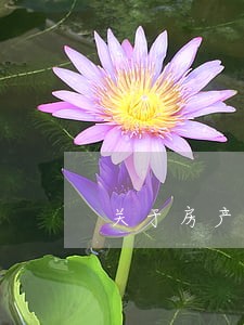 关于房产继承的法律法规 关于房产继承的法律法规