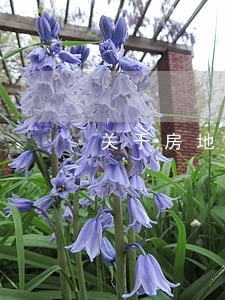 关于房地产纠纷的律师 关于房地产纠纷的律师
