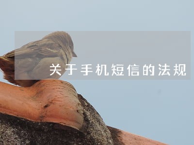 关于手机短信的法规 关于手机短信的法规