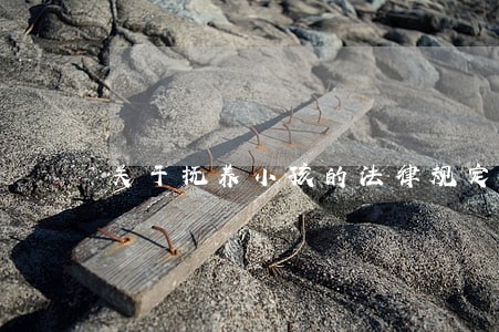 关于抚养小孩的法律规定 关于抚养小孩的法律规定