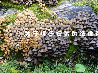 关于拆迁安置的法律咨询 关于拆迁安置的法律咨询