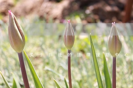 关于拆迁的法律援助中心 关于拆迁的法律援助中心