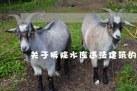 关于拆除水库违法建筑的报告