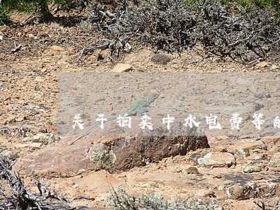 关于拍卖中水电费等的建议 关于拍卖中水电费等的建议