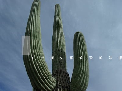 关于拖欠粮食款的法律条文 关于拖欠粮食款的法律条文