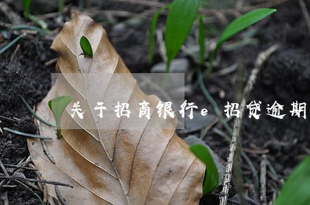 关于招商银行e招贷逾期 关于招商银行e招贷逾期