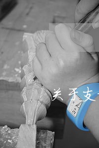 关于支持公益诉讼工作的意见 关于支持公益诉讼工作的意见