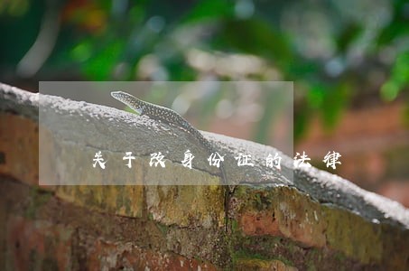 关于改身份证的法律