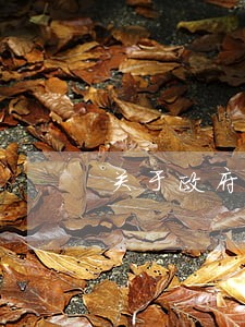 关于政府发的信用卡逾期公文 关于政府发的信用卡逾期公文
