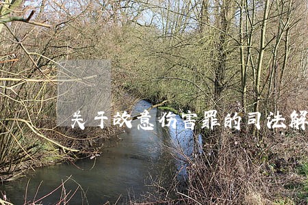 关于故意伤害罪的司法解释 关于故意伤害罪的司法解释