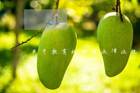 关于教育机构的法律法规