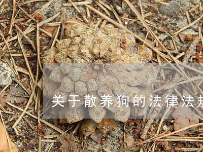 关于散养狗的法律法规 关于散养狗的法律法规