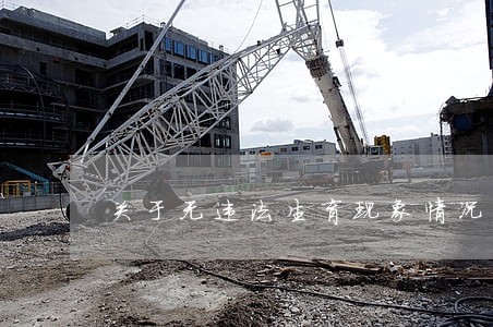 关于无违法生育现象情况证明 关于无违法生育现象情况证明