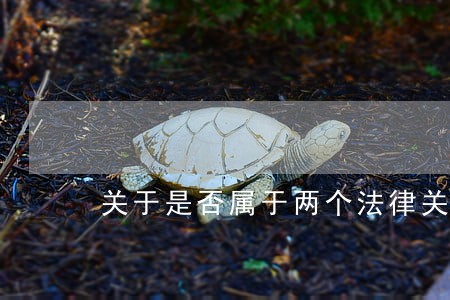 关于是否属于两个法律关系的问题 关于是否属于两个法律关系的问题
