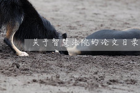 关于智慧法院的论文目录 关于智慧法院的论文目录