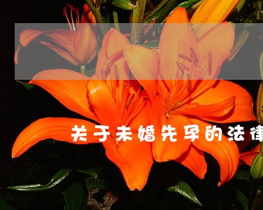 关于未婚先孕的法律咨询 关于未婚先孕的法律咨询