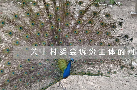 关于村委会诉讼主体的问题 关于村委会诉讼主体的问题