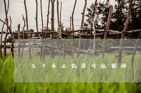 关于毒品犯罪司法解释 关于毒品犯罪司法解释