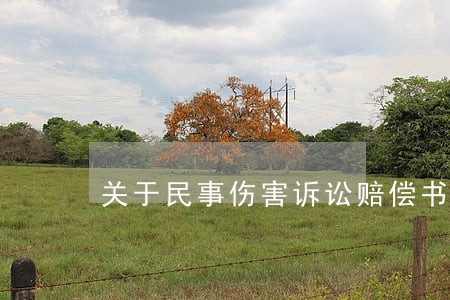 关于民事伤害诉讼赔偿书怎么写 关于民事伤害诉讼赔偿书怎么写