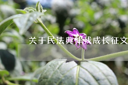 关于民法典伴我成长征文范文5篇 关于民法典伴我成长征文范文5篇