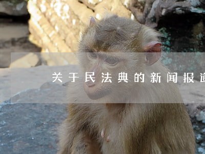 关于民法典的新闻报道