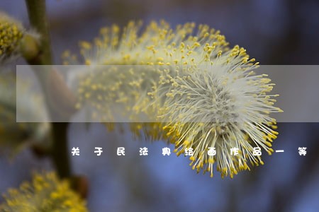 关于民法典绘画作品一等奖大全