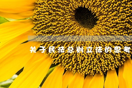 关于民法总则立法的思考探讨 关于民法总则立法的思考探讨