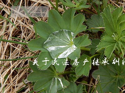 关于民法房产继承纠纷的法律咨询 关于民法房产继承纠纷的法律咨询