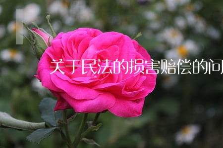 关于民法的损害赔偿的问题 关于民法的损害赔偿的问题