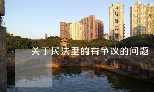 关于民法里的有争议的问题 关于民法里的有争议的问题