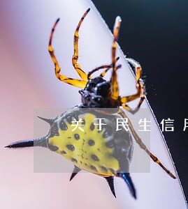 关于民生信用卡逾期的案例