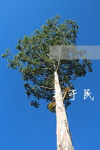 关于民生信用卡逾期的问题 关于民生信用卡逾期的问题