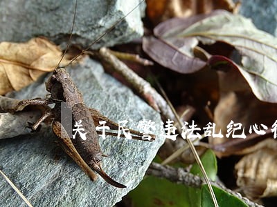 关于民警违法乱纪心得体会