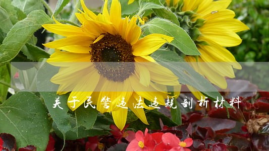 关于民警违法违规剖析材料 关于民警违法违规剖析材料