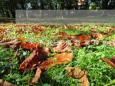 关于民间借贷案件的观点 关于民间借贷案件的观点