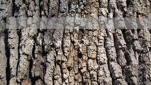 关于污水的法规 关于污水的法规