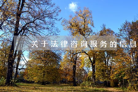 关于法律咨询服务的信息 关于法律咨询服务的信息