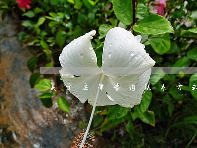 关于法律咨询联系方式 关于法律咨询联系方式