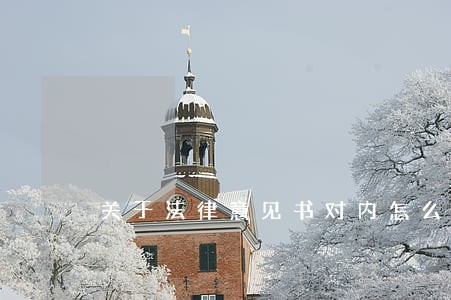 关于法律意见书对内怎么写 关于法律意见书对内怎么写