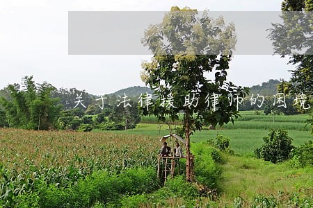 关于法律援助律师的困境 关于法律援助律师的困境