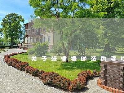 关于法律援助法的手抄报 关于法律援助法的手抄报