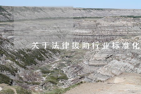 关于法律援助行业标准化