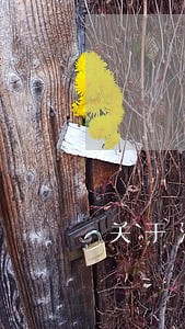 关于法律的成语 关于法律的成语
