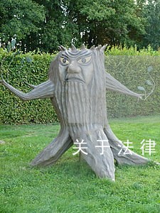关于法律的高中作文素材 关于法律的高中作文素材