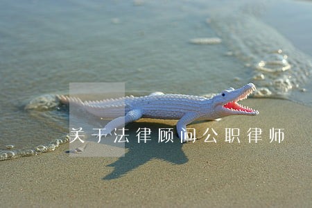 关于法律顾问公职律师