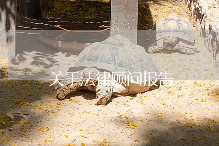 关于法律顾问报告