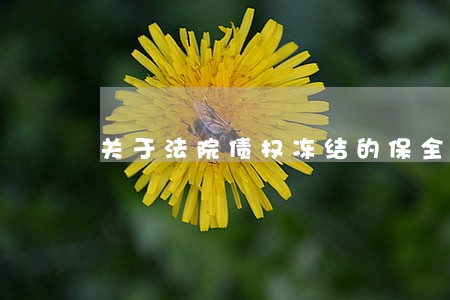 关于法院债权冻结的保全申请 关于法院债权冻结的保全申请