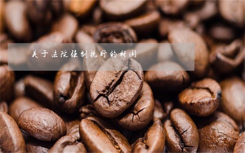 关于法院强制执行的新闻