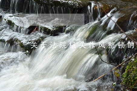 关于法院机关作风整顿的报告