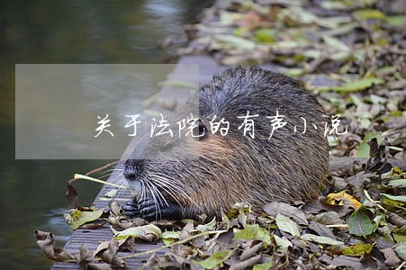 关于法院的有声小说 关于法院的有声小说